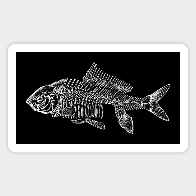 Fish Skeleton Sticker by tommartinart